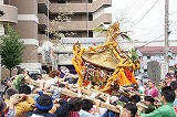 photoD-153